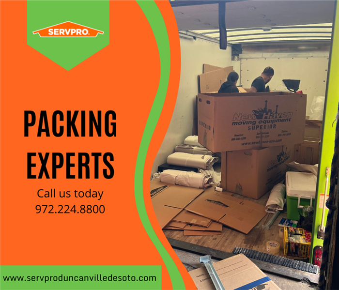 Packing experts