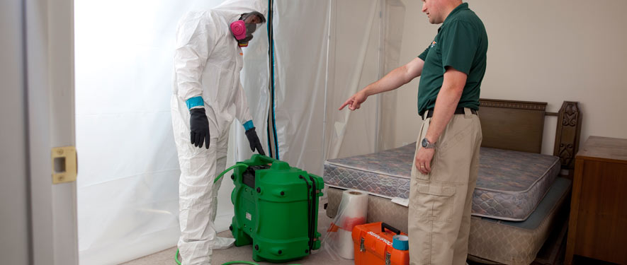 Duncanville, TX mold removal process